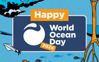 Dia Mundial dos Oceanos: Comemorando a Beleza e a Importância dos nossos Ecossistemas Oceânicos