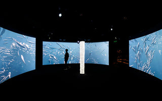 EXPLORANDO AS PROFUNDEZAS: UM GUIA PARA OS MELHORES MUSEUS MARINHOS DO MUNDO