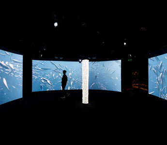 EXPLORANDO AS PROFUNDEZAS: UM GUIA PARA OS MELHORES MUSEUS MARINHOS DO MUNDO