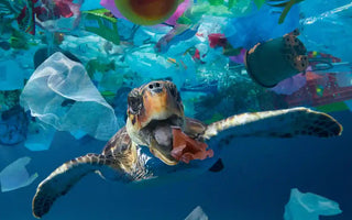 OCEANOS SEM PLÁSTICO: COMO OS INDIVÍDUOS PODEM FAZER A DIFERENÇA