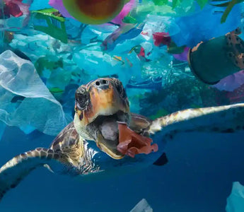 OCEANOS SEM PLÁSTICO: COMO OS INDIVÍDUOS PODEM FAZER A DIFERENÇA