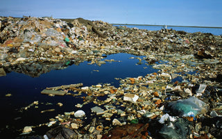 CONSUMO CONSCIENTE: FAZENDO ESCOLHAS INFORMADAS PARA A CONSERVAÇÃO DOS OCEANOS