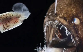 A VIDA EM EXTREMOS: CRIATURAS DO FUNDO DO MAR E SUAS NOTÁVEIS ADAPTAÇÕES