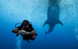 ECOS DO MAR: UM CONTO NÁUTICO DE RAJA AMPAT