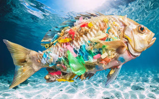 PLÁSTICO NA VIDA COTIDIANA: POLUIÇÃO POR MICROPLÁSTICOS NO OCEANO