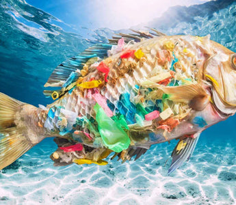 PLÁSTICO NA VIDA COTIDIANA: POLUIÇÃO POR MICROPLÁSTICOS NO OCEANO