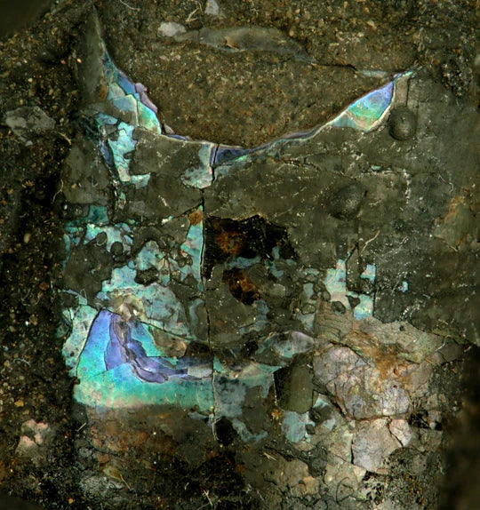 UM MERGULHO NA BELEZA IRIDESCENTE: COMO A MADREPÉROLA É FORMADA