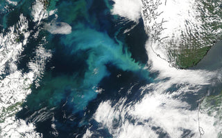EXPLORAÇÃO DO MAR DO NORTE: REVELANDO AS RIQUEZAS SOB AS ONDAS