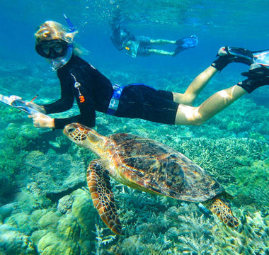Conservação de tartarugas marinhas: voluntariado para proteger locais de nidificação e filhotes